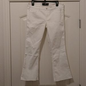 Hollister low rise Jeans